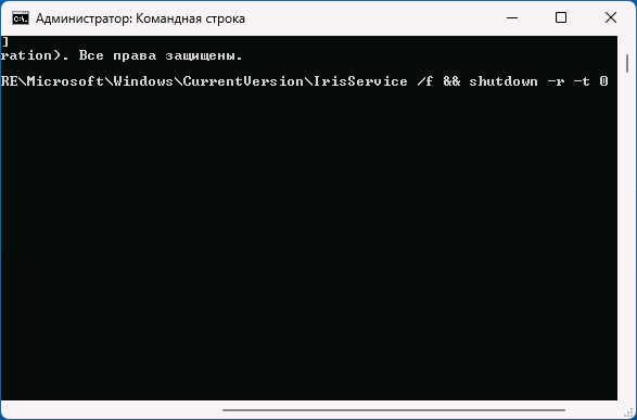 Видалення параметрів Iris Service