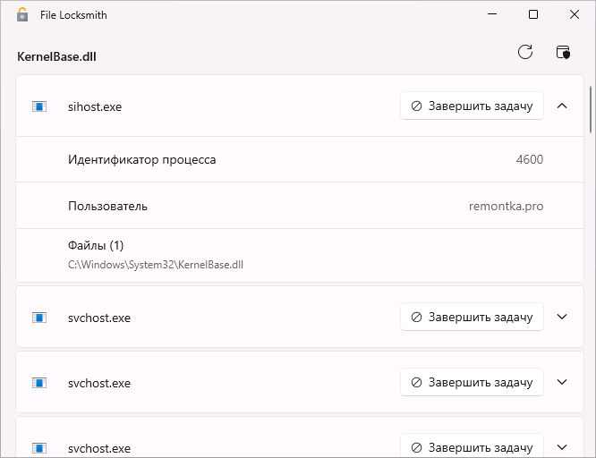 Інформація про процес у File Locksmith