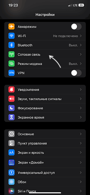 Відкрити параметри стільникового зв'язку на iPhone