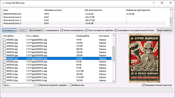 Результати відновлення даних у Puran File Recovery